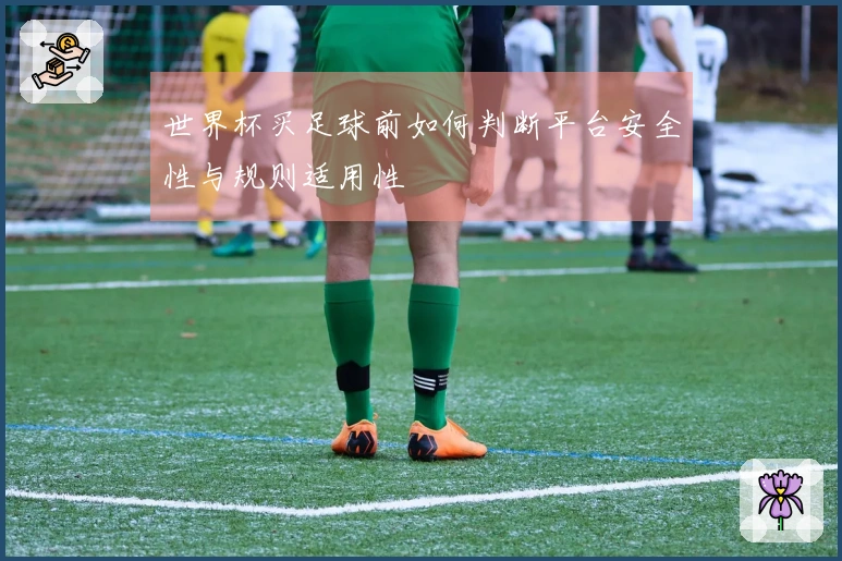 世界杯买足球前如何判断平台安全性与规则适用性